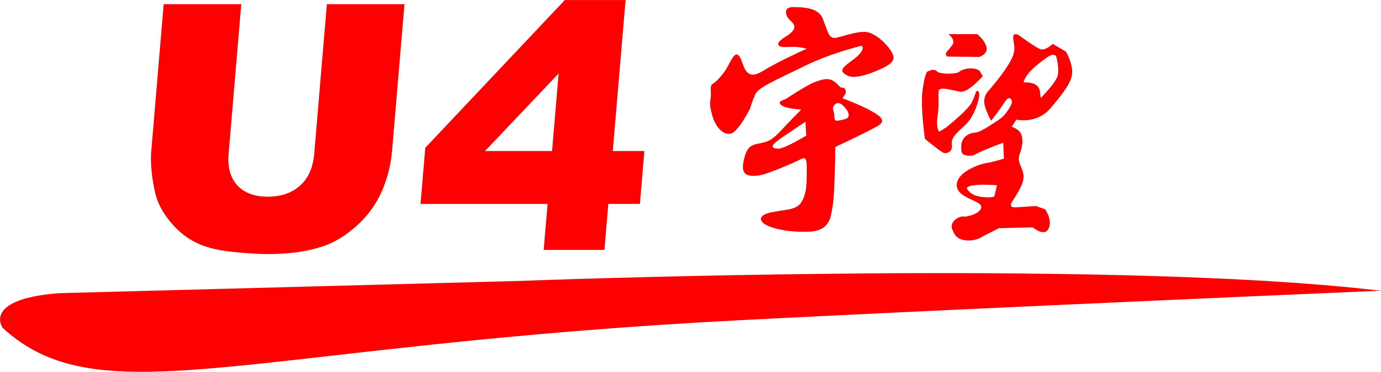DFSK Logo